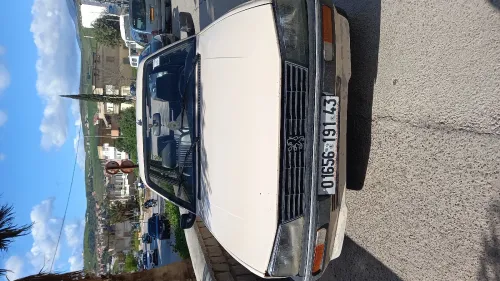 Peugeot 505 1991 505