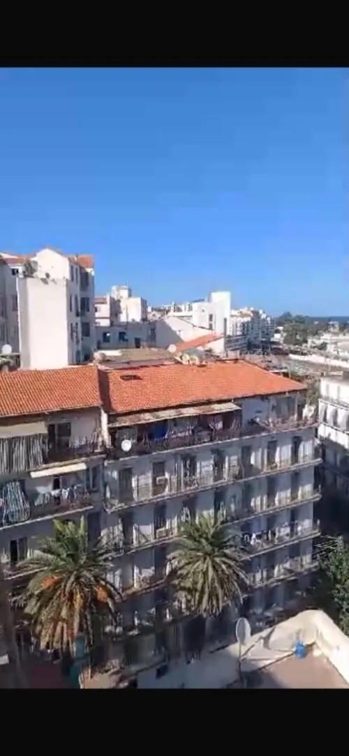 Vente Appartement F3 Alger Alger centre