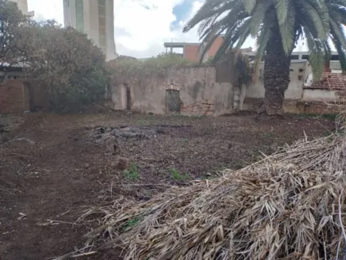Vente Terrain Tipaza Tipaza