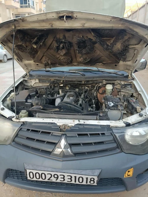 Mitsubishi L200 2010 L200