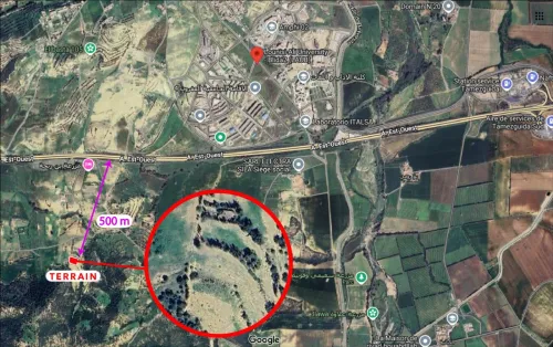 Vente Terrain Blida El affroun