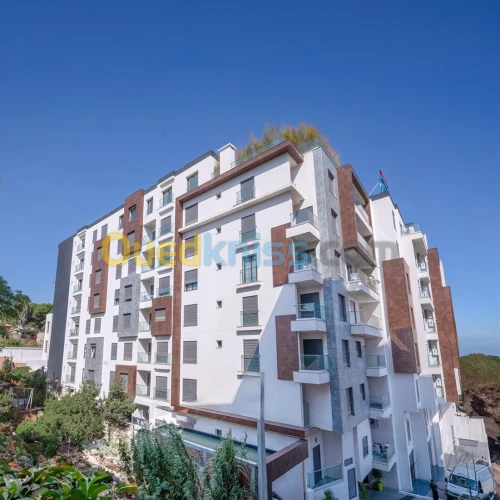 Vente Appartement F3 F4 Alger Birkhadem