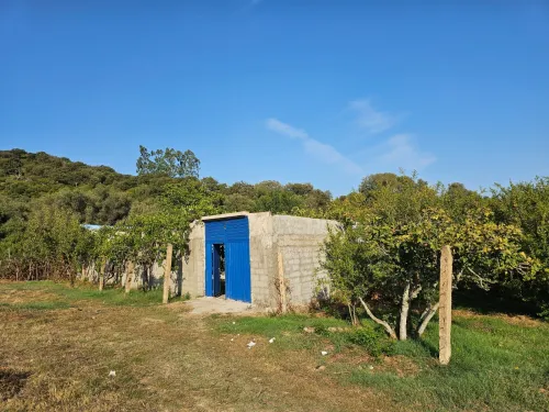 Location Local Skikda Oued zehour