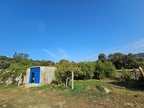 Location Local Skikda Oued zehour