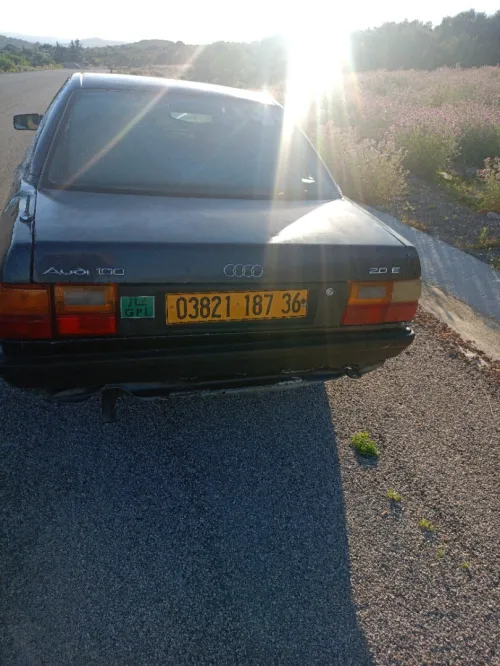 Audi 100 1987 100