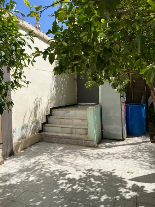 Vente Terrain Chlef Chlef