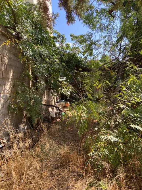 Vente Terrain Chlef Chlef