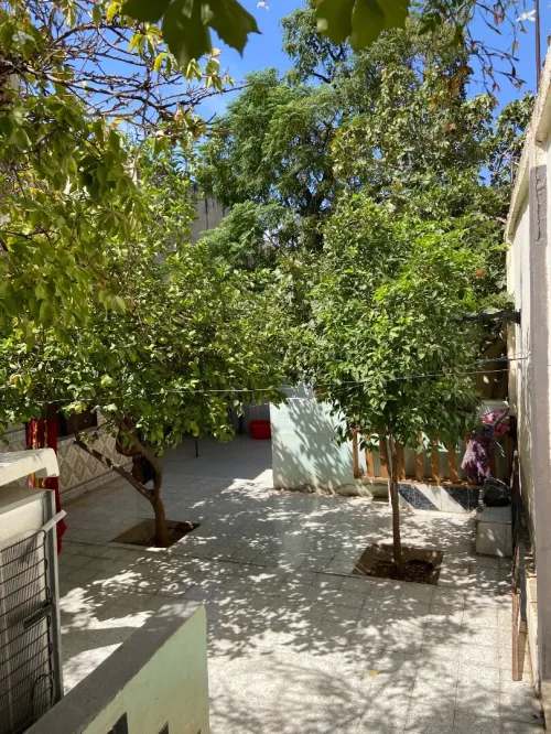 Vente Terrain Chlef Chlef