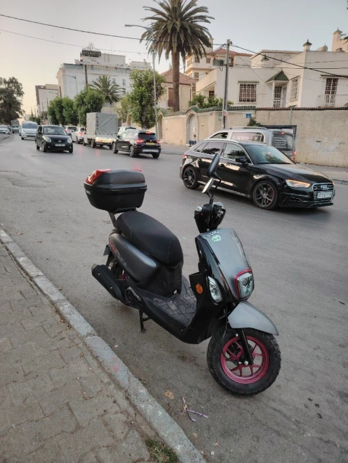 vms CUXI 2 2025