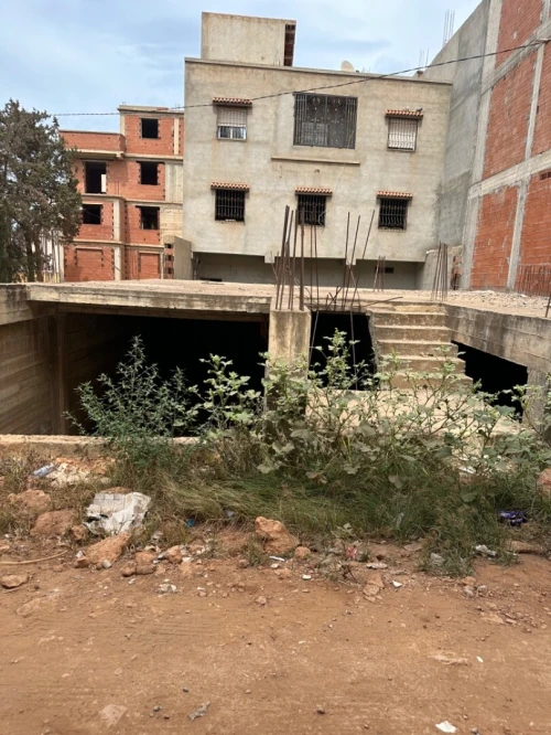 Vente Terrain Tipaza Kolea