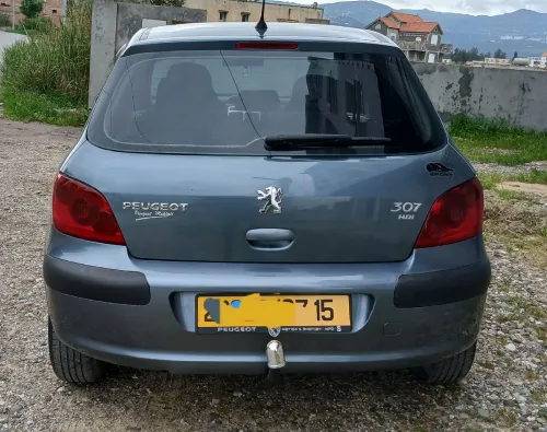 Peugeot 307 2007 307