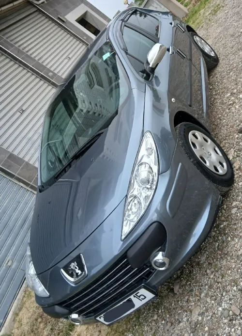Peugeot 307 2007 307