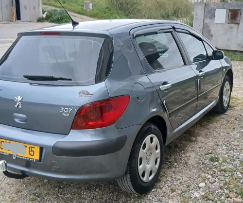 Peugeot 307 2007 307