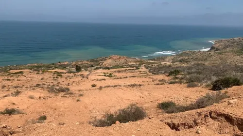 Vente Terrain Tlemcen Msirda fouaga