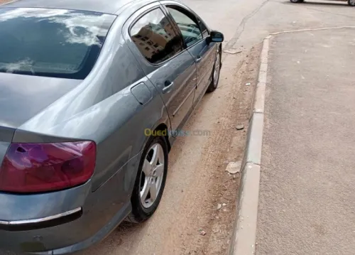 Peugeot 407 2006 407