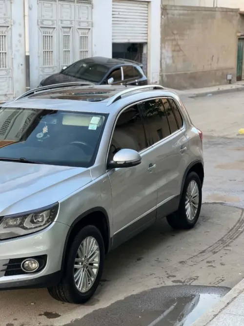 Volkswagen Tiguan 2014 Cup