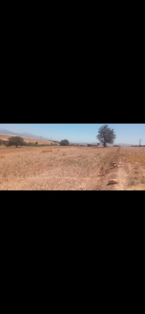 Vente Terrain Bouira Oued el berdi