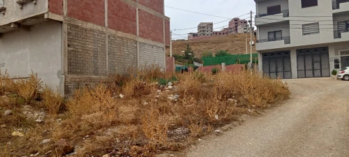 Vente Terrain Constantine Constantine