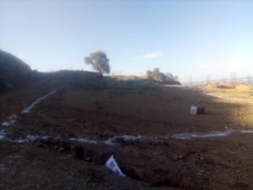 Vente Terrain Blida Ain romana