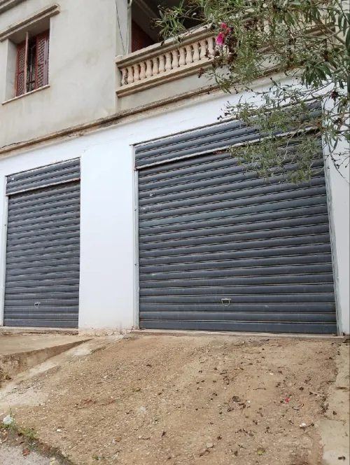 Location Local Alger Staoueli