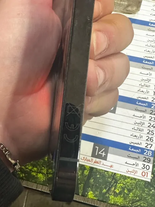 Algi Iphon