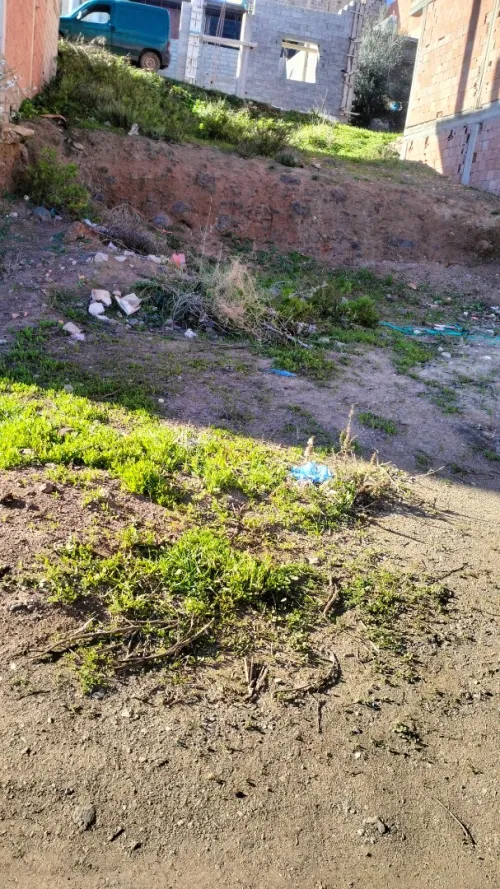Vente Terrain Agricole Aïn Témouchent Oulhaca el gheraba