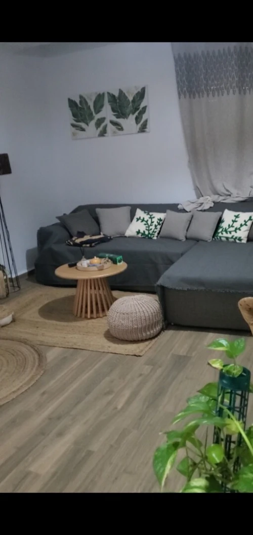 Location Appartement Tipaza Bou ismail
