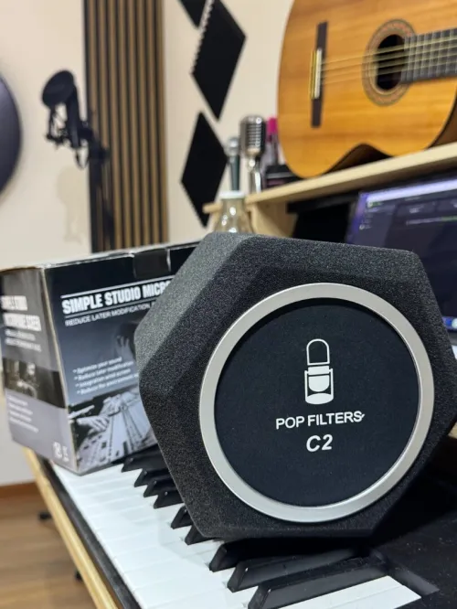 Filtre microphone Pop C2
