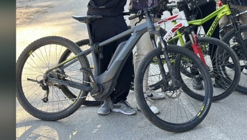Velo electric bosch cx