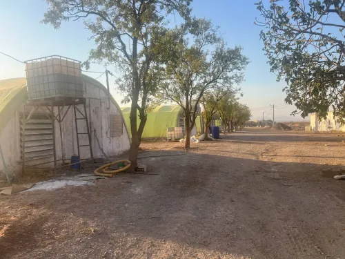 Vente Terrain Agricole Sidi Bel Abbès Tabla