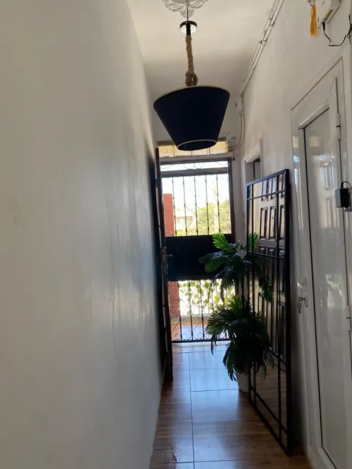 Vente Appartement Studio F2 Alger Bouzareah
