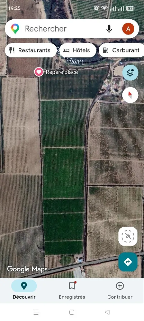 Vente Terrain Agricole Aïn Defla Djelida