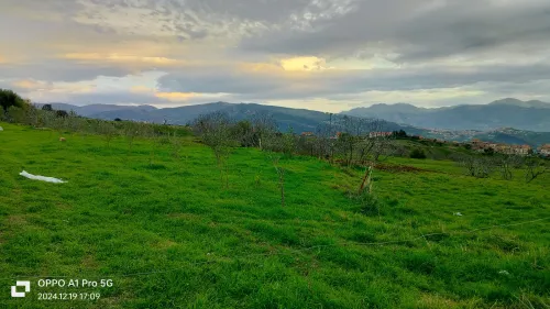 Vente Terrain Tizi Ouzou Ifigha