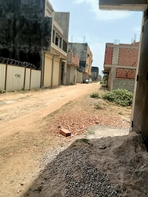 Vente Terrain Alger Tessala el merdja