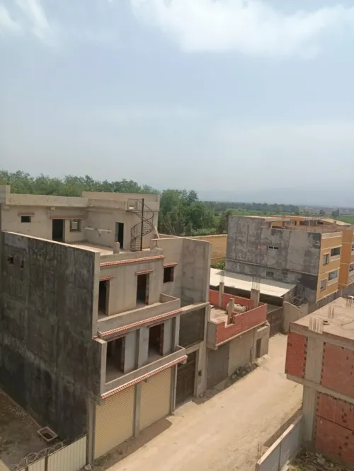 Vente Terrain Alger Tessala el merdja