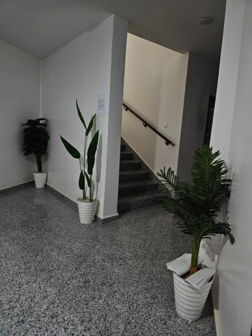 Location vacances Appartement F3 Alger Alger centre