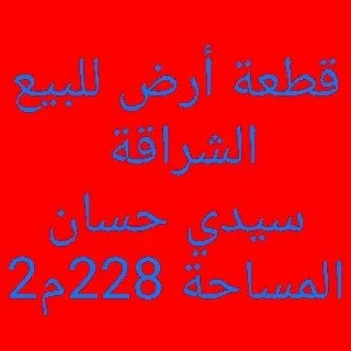 Vente Terrain Alger Cheraga