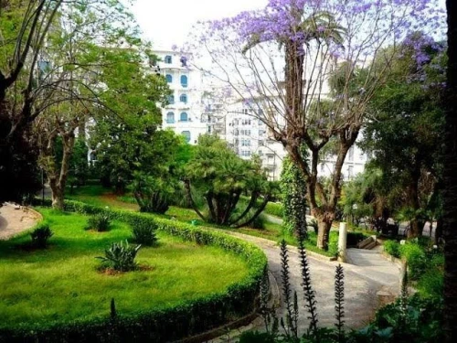 Location Appartement F3 Alger Alger centre