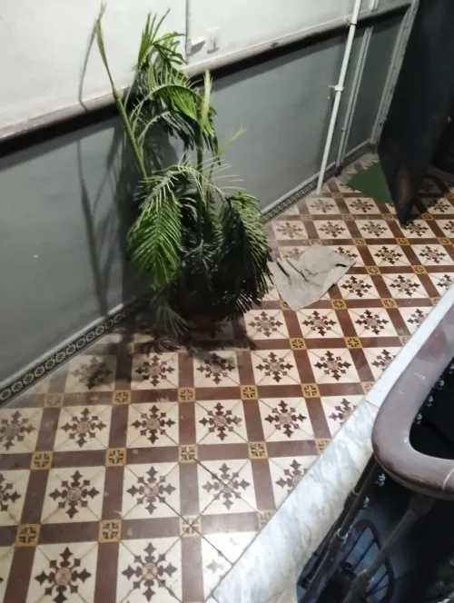 Location Appartement F4 Alger Alger centre