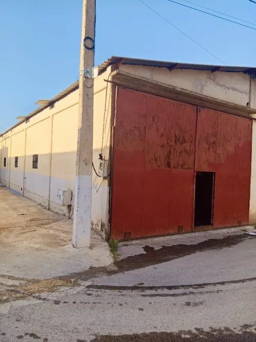 Location Local Blida Guerrouaou