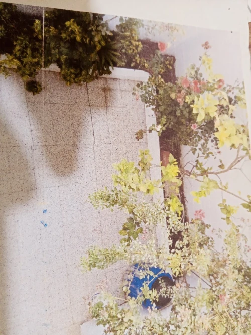 Vente Villa Blida Boufarik