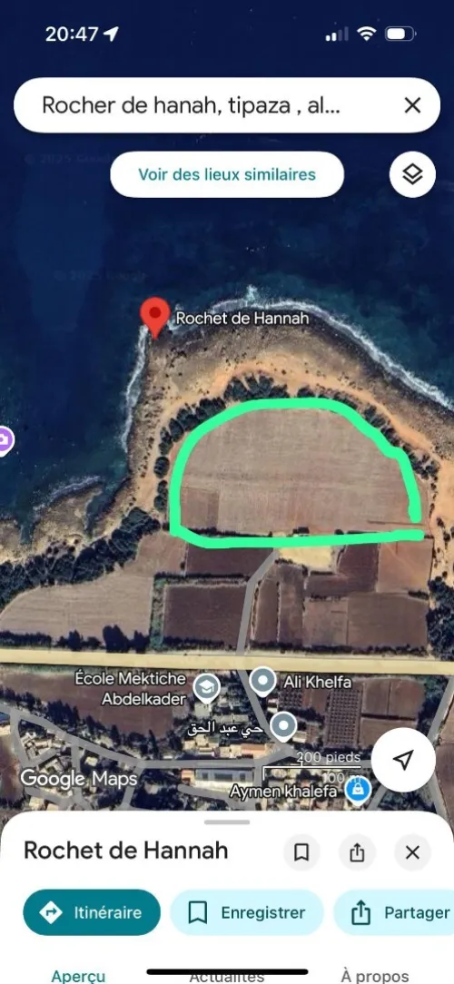 Vente Terrain Agricole Tipaza Tipaza