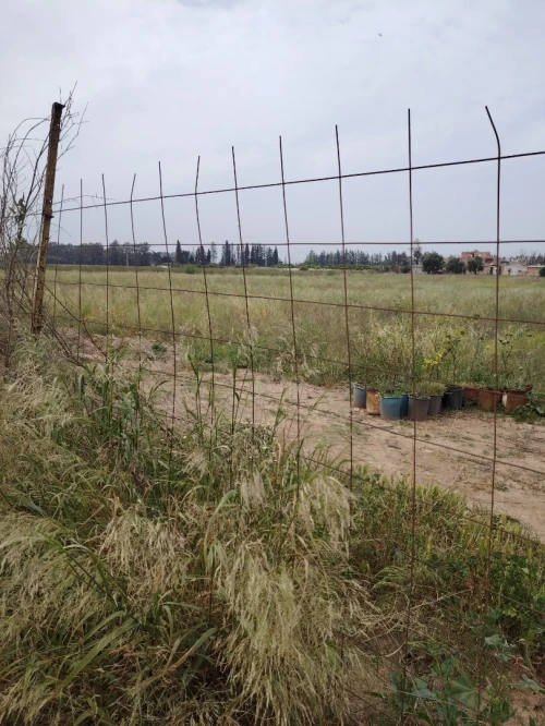 Vente Terrain Agricole Blida Chebli