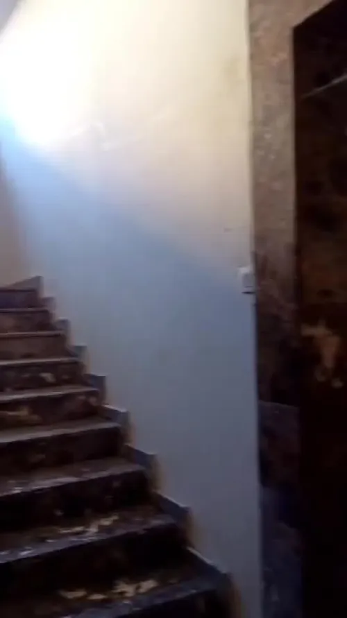 Vente Appartement F4 Alger Dely brahim