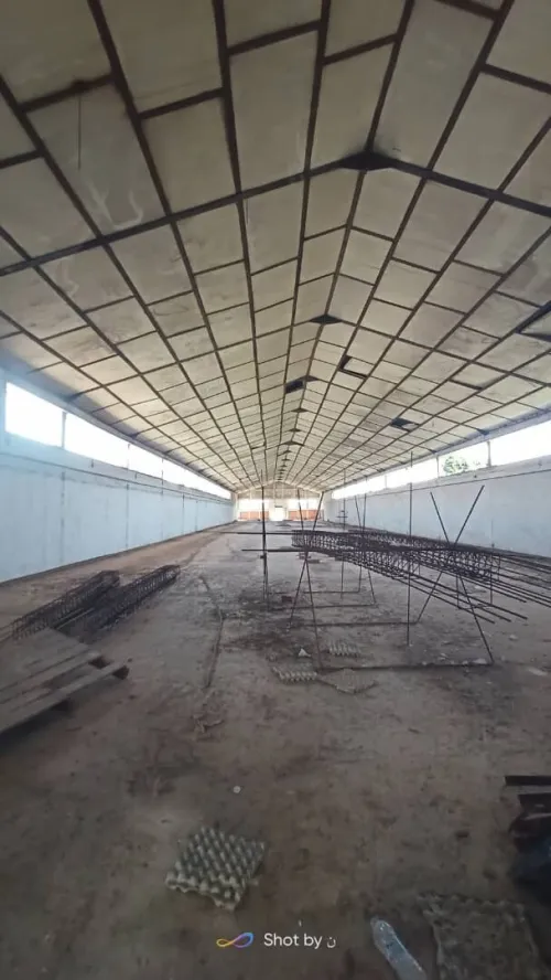 Location Hangar Alger El harrach
