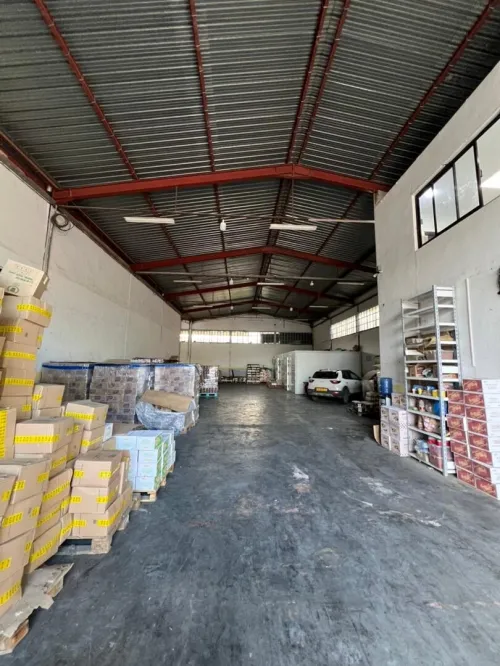 Location Hangar - Usine Blida Blida