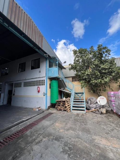 Location Hangar - Usine Blida Blida