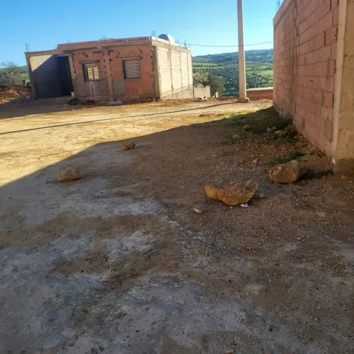 Vente Terrain Relizane Mazouna