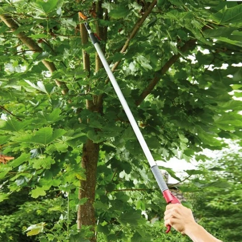 Sécateur perche + scie télescopique 1.8 à3m / 2.4à 4m) . Taille et élagage en hauteur