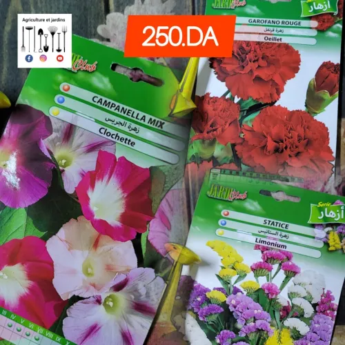 Semences fleurs (partie 2)